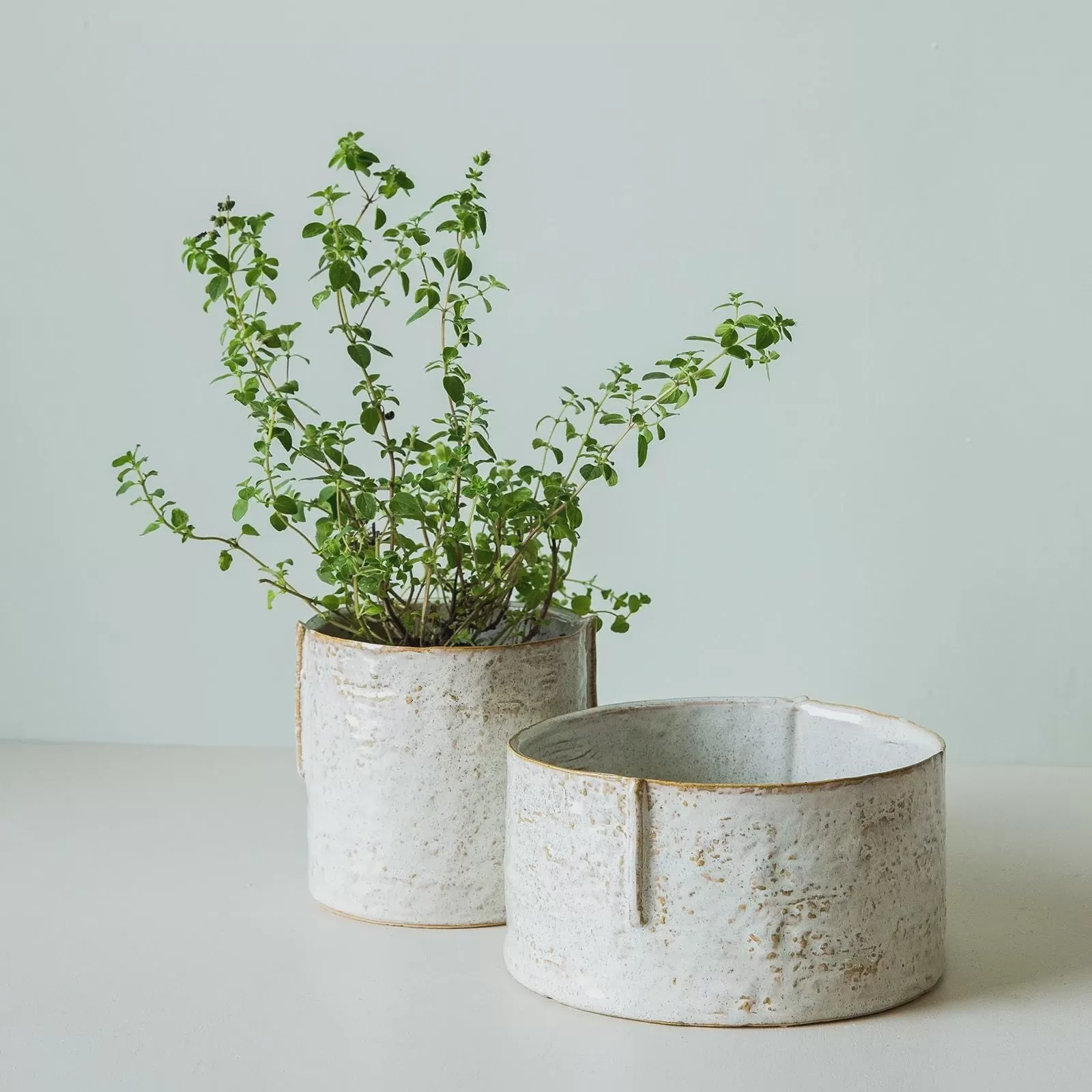 Forager Pot Off White Wide