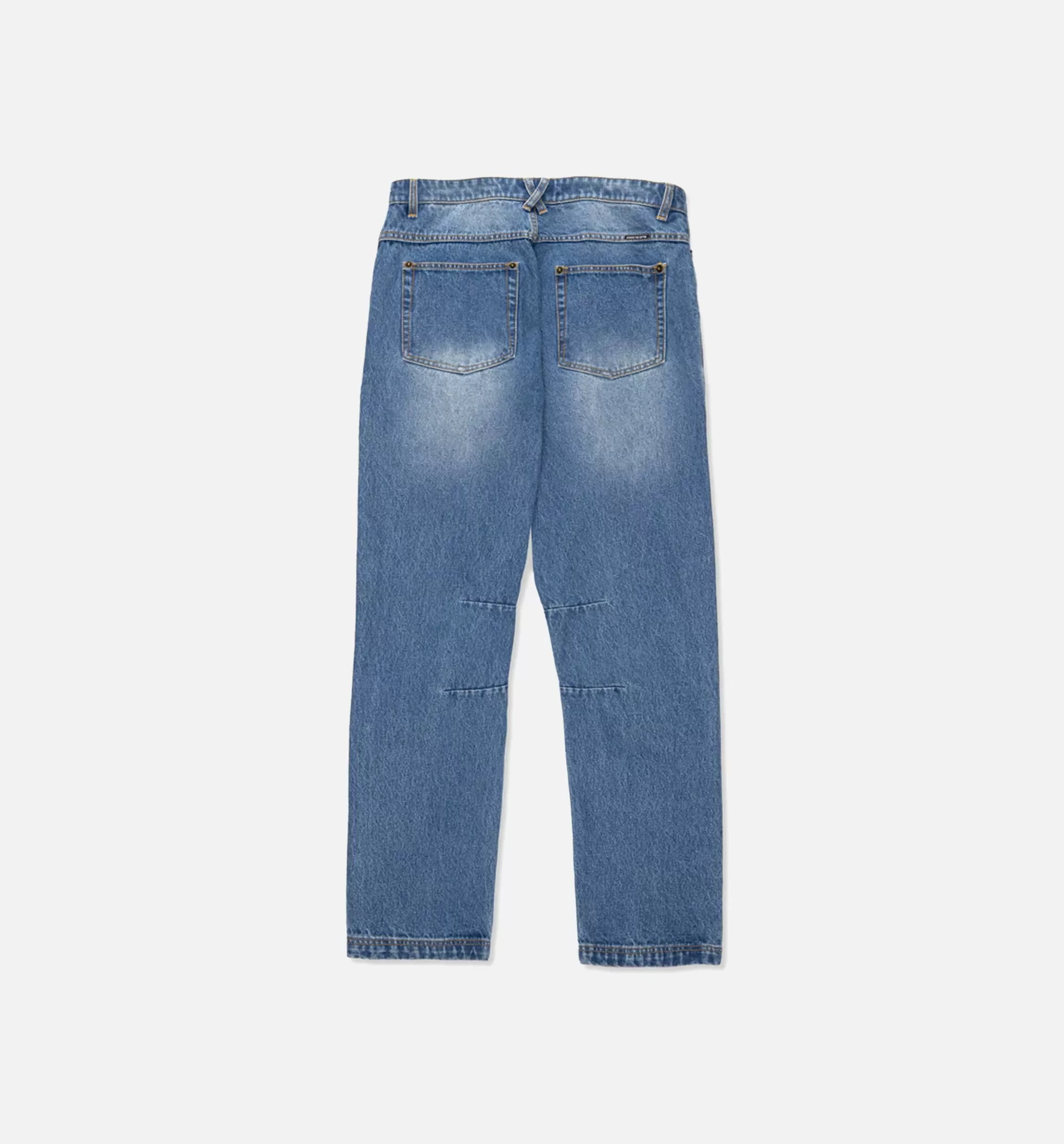 Icon Denim Mens Pant - Blue