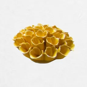 Yellow Ceramic Succulent